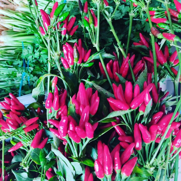 378146434_690350159789064_4070417291595233486_n.jp