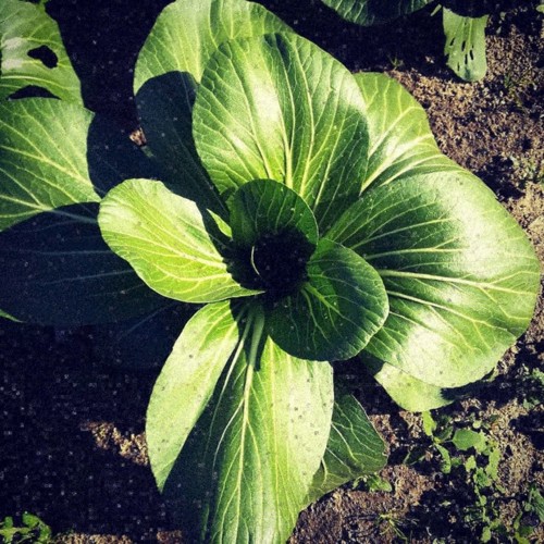 48403656_1269880396485052_2075007608183324672_n.jp