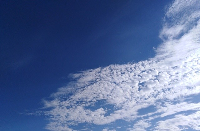 IMG_20210528_085132cópia.jpg IMG_20210528_085132cópia.jpg