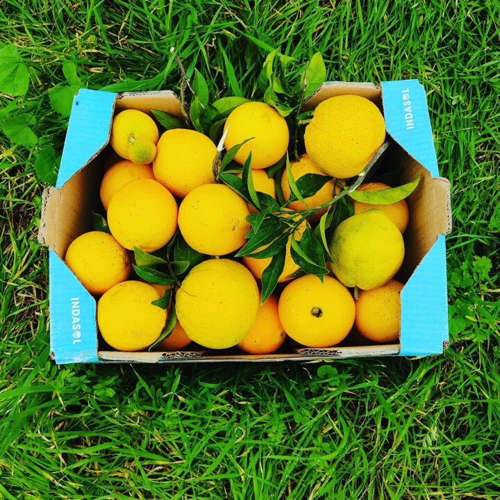 315425581_2468753739931039_7425018573877182600_n.j