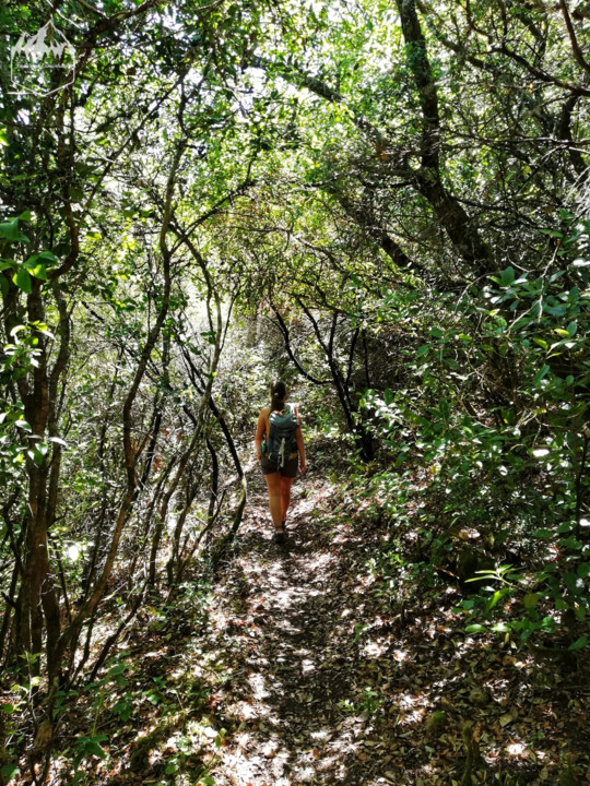 Photo_1596312266611.jpg Photo_1596312266611.jpg