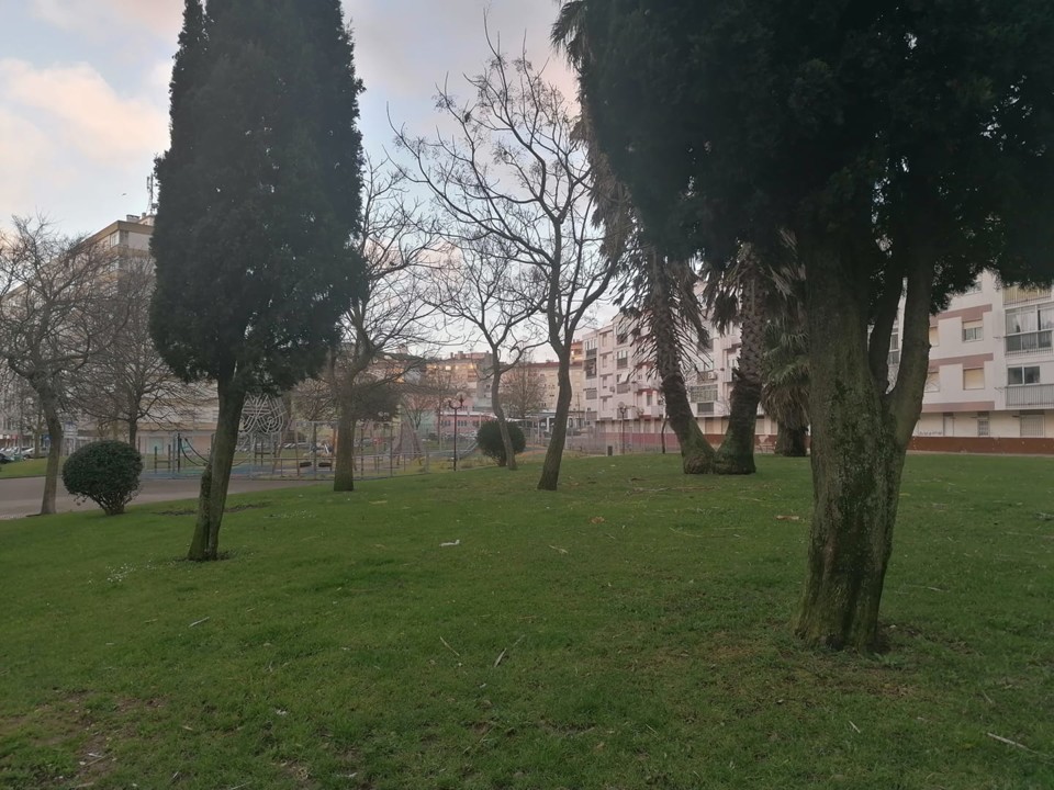 141023221_10158028130833565_970202121683165065_o.j