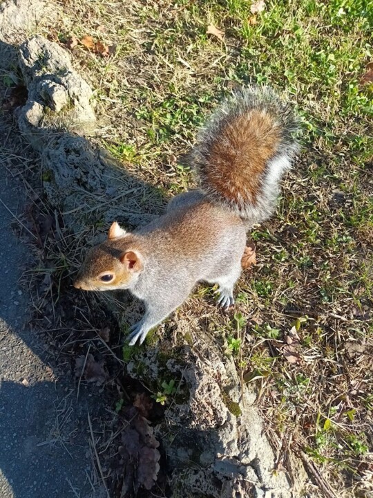 Não me canso disto Park2b.jpg