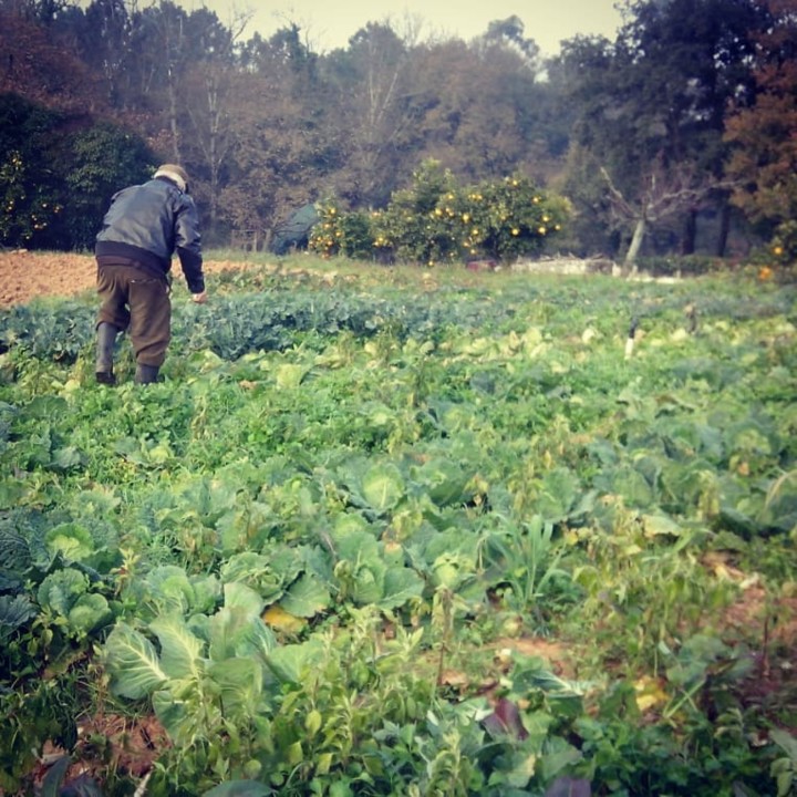 151492494_1956385391167879_336709632893368410_n.jp