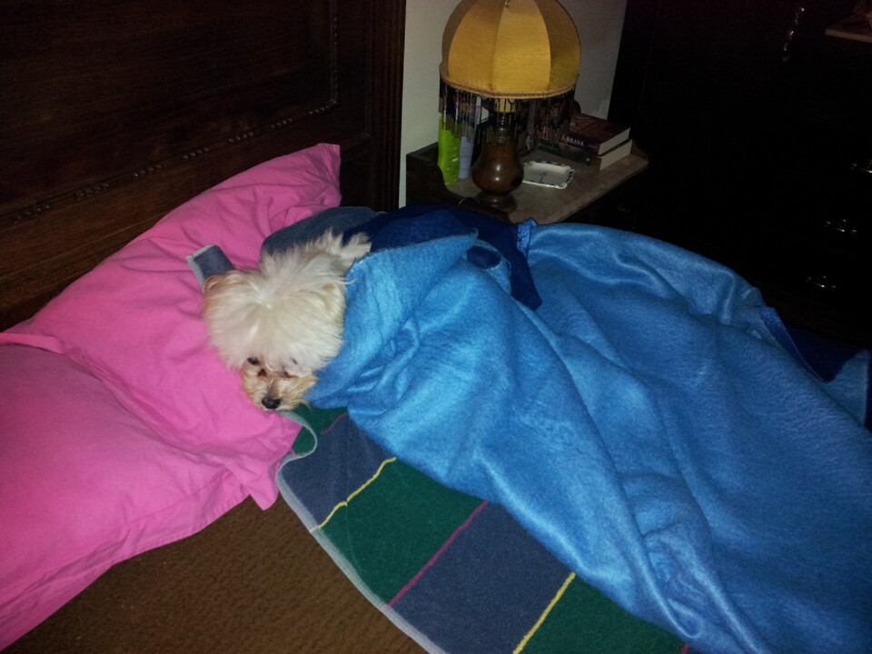 2011-11-08 07.01.09.jpg