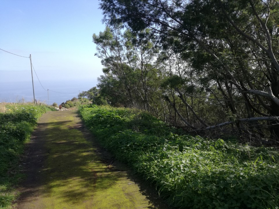 IMG_20191222_130715.jpg IMG_20191222_130715.jpg