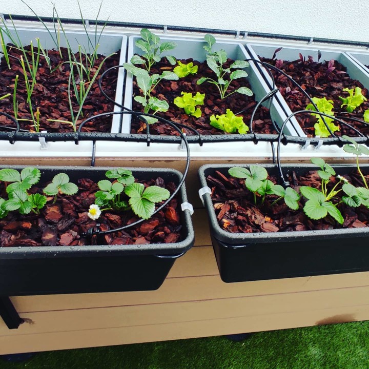 141692439_1933265026813249_5755792404310282433_o.j