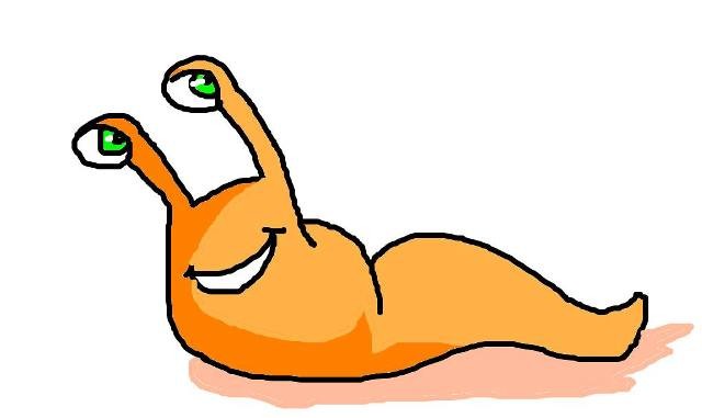 146036438_3609839122464700_8240155492311349668_o.j 146036438_3609839122464700_8240155492311349668_o.j