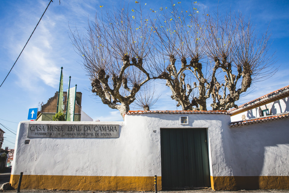 187574702_4300321766696676_508022555513535018_n.jp 187574702_4300321766696676_508022555513535018_n.jp