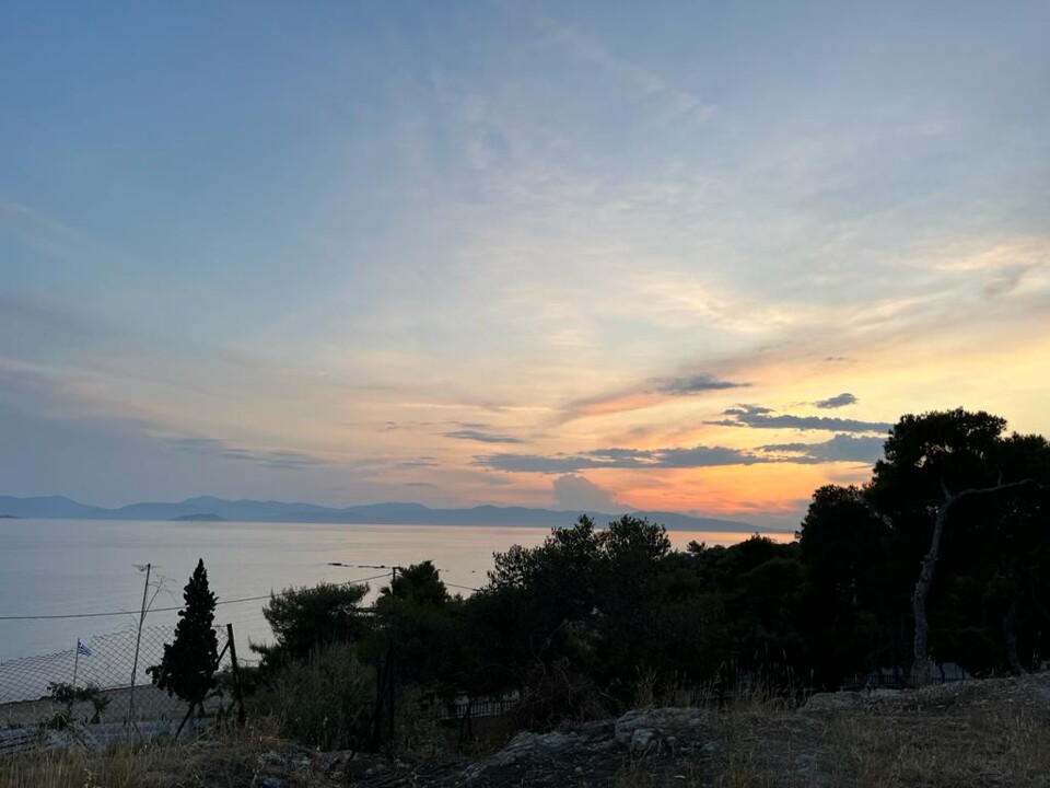 WhatsApp Image 2023-05-31 at 10.59.49.jpeg