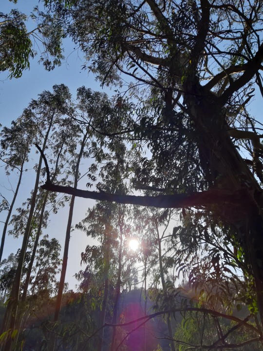 20200722_181224.jpg 20200722_181224.jpg