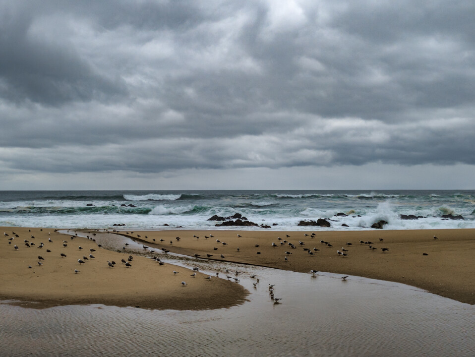 Póvoa de Varzim 21 fev 2024.jpg