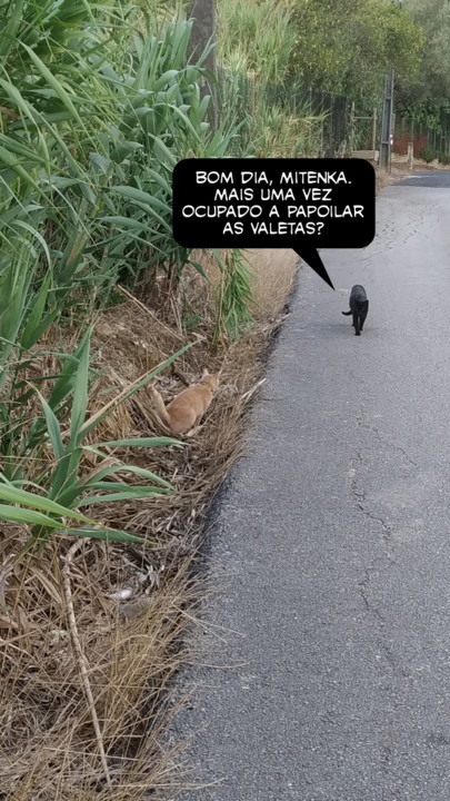 2021-08-15 01-picsay.jpg