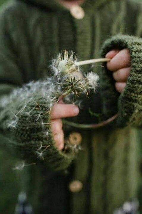 540692356_1324965368999313_9199285899119997798_n.j