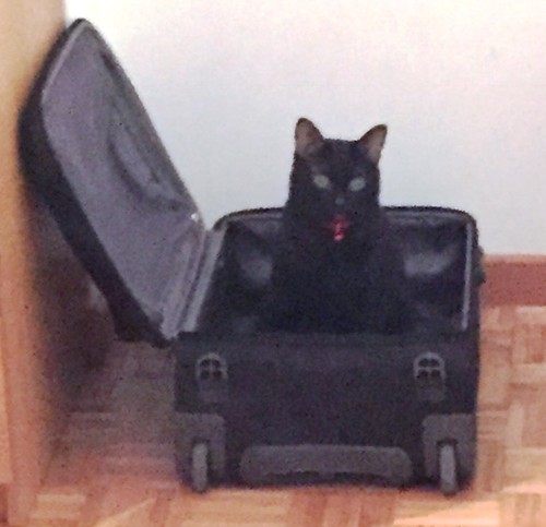 IMG_1548.JPG IMG_1548.JPG