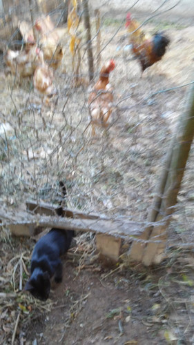 rafaelgalo.jpg rafaelgalo.jpg