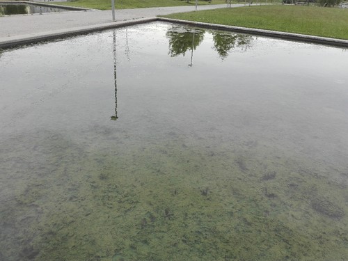 Parque da cidade (3).jpg