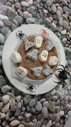 22885887_1824692044240121_2540211686422934909_n.jp