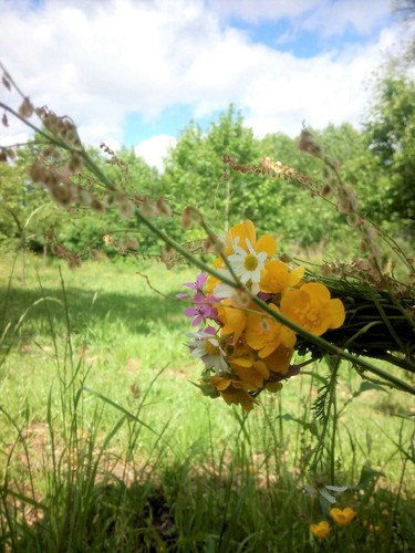 18358913_1318689914883323_2921509358095414410_o.jp 18358913_1318689914883323_2921509358095414410_o.jp