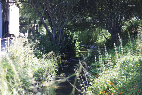 0_passadiço_arcozelo1.jpg 0_passadiço_arcozelo1.jpg