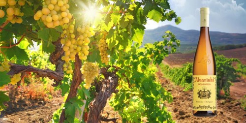 transferir (2).jpg transferir (2).jpg