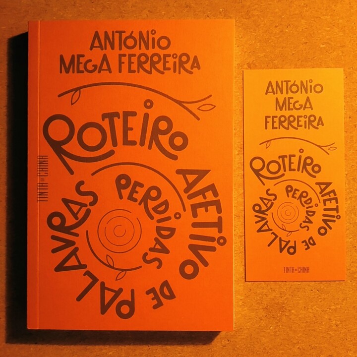 2022.11.01 Mega Ferreira.jpg