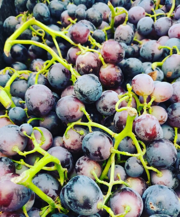 458516002_906930214797723_6042279977148860882_n.jp