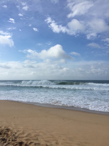 IMG_6159.JPG IMG_6159.JPG