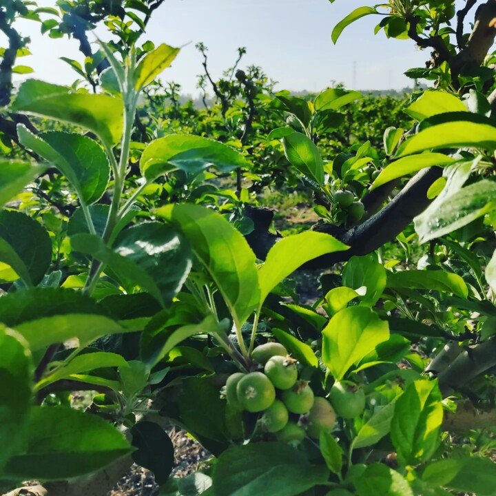 344337975_1238448963709609_1623983172274167470_n.j