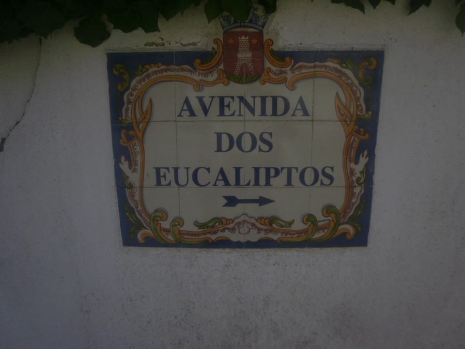 P4237936.JPG P4237936.JPG