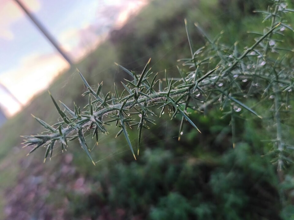 Não me canso disto inverno 4.jpg