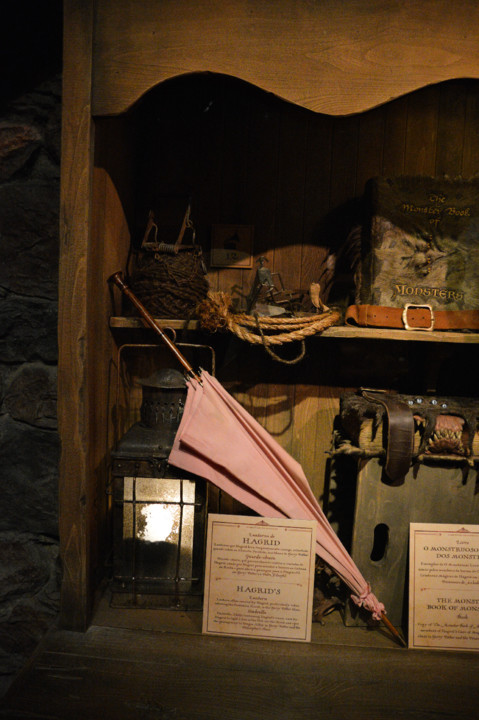 ExpHarryPotter_Mar2020-43.jpg ExpHarryPotter_Mar2020-43.jpg