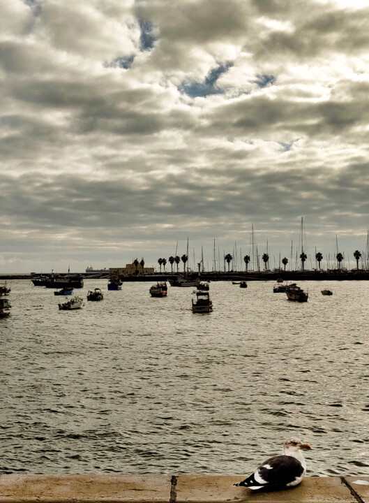 Baía de Cascais paisagem.jpg