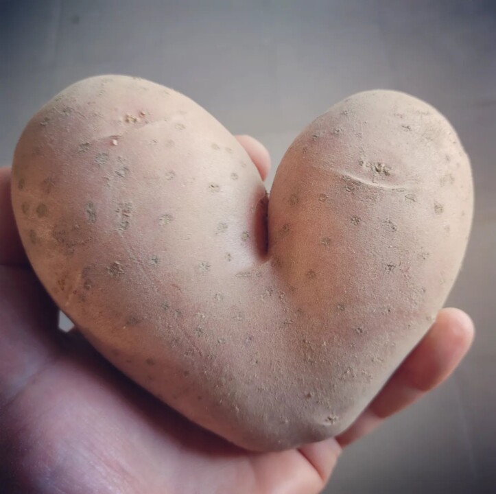 341755103_771410927633834_2970139781294847799_n.jp