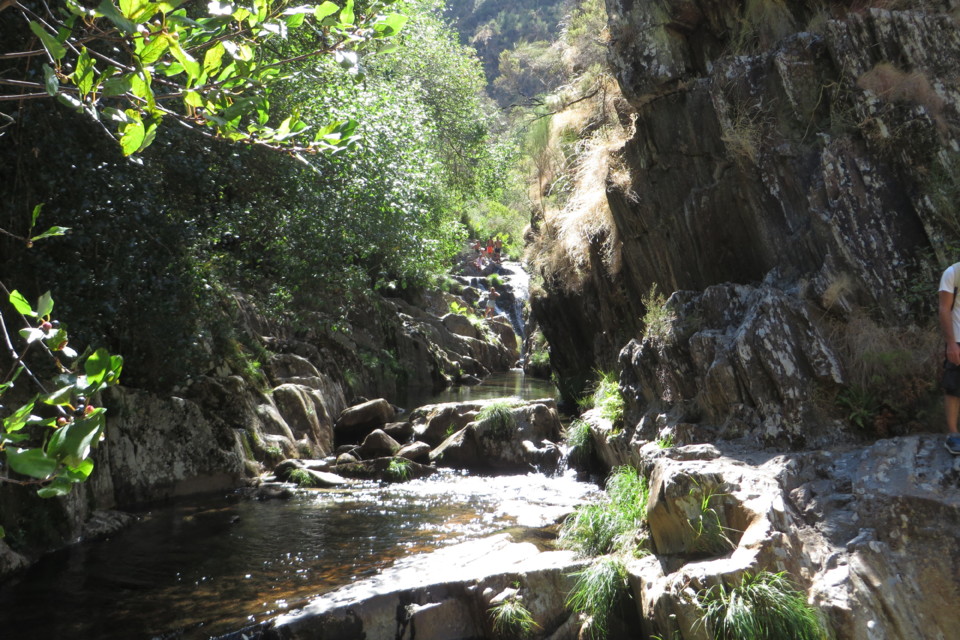 IMG_3547.JPG IMG_3547.JPG