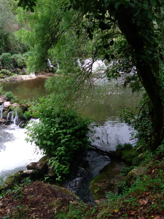 IMG_20210402_115550.jpg IMG_20210402_115550.jpg