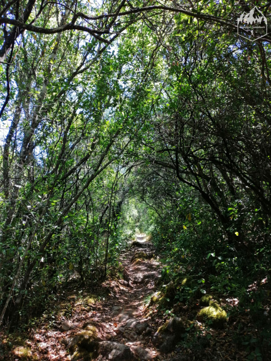 Photo_1596312267457.jpg Photo_1596312267457.jpg