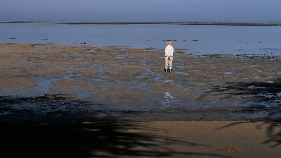 924 c 11093767rosas_de_ermera_luis_filipe_rocha.jp