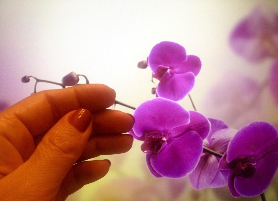 dia da mãe.jpg dia da mãe.jpg