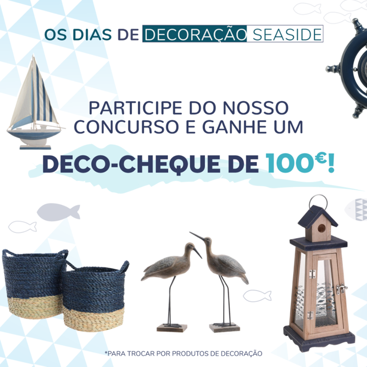 56526748_3049230075090937_4796331472845799424_n.pn