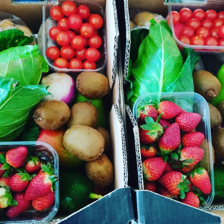 409029460_788505393306873_4836059356311551640_n.jp