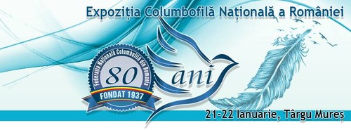 Exposição Roménia.jpg