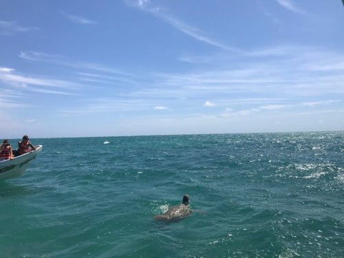 Primeira Casa da Rua by Nuno Matos Cabral no Méxi Primeira Casa da Rua by Nuno Matos Cabral no Méxi