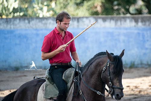 JOÃO RIBEIRO TELLES 1.jpg
