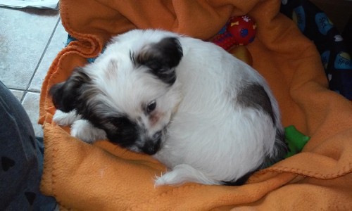 20151018_133431.jpg 20151018_133431.jpg