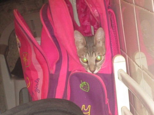 IMG_2881.JPG IMG_2881.JPG