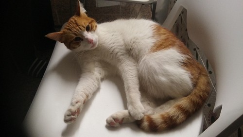 2016-05-28 23.36.38.jpg