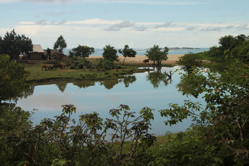 Álbum de fotografias II