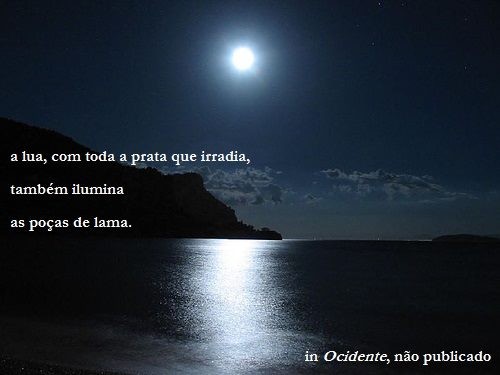 10418294_1482585795320187_8566403110006560104_n.jp