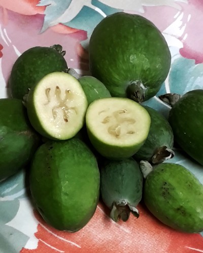 feijoa.jpg